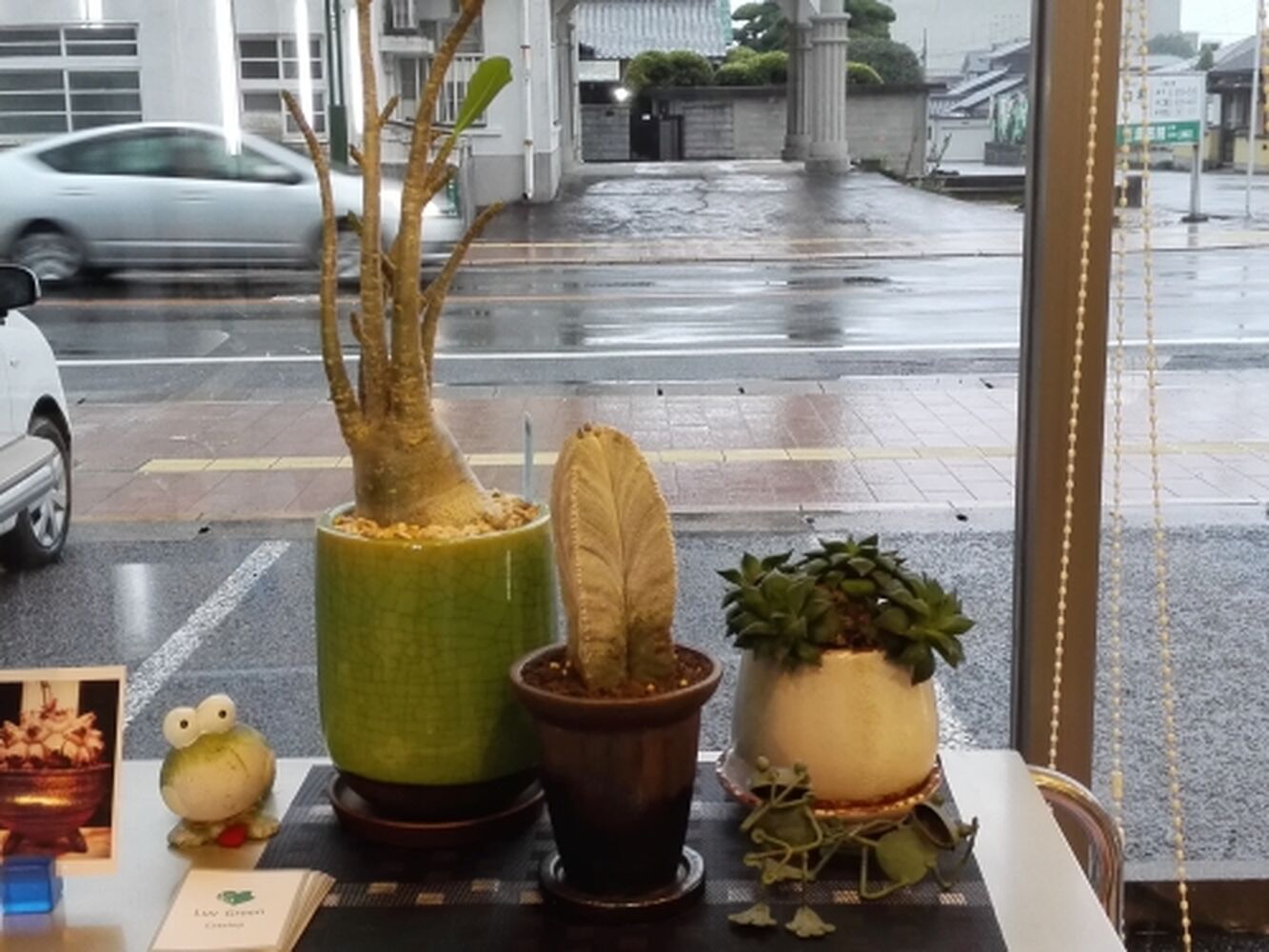 ブログ